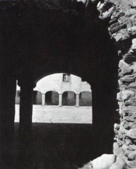 PIONIRA