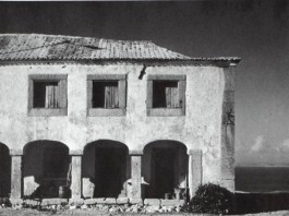 PIONIRA