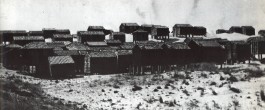 PIONIRA