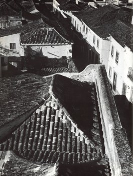 PIONIRA
