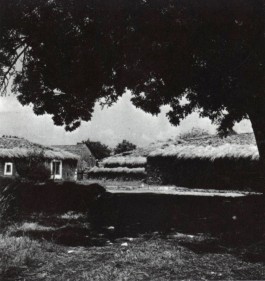 PIONIRA