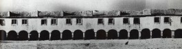 PIONIRA