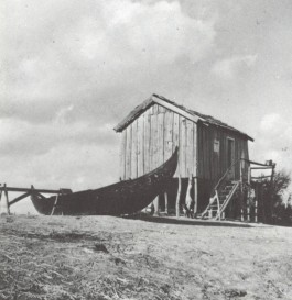 PIONIRA