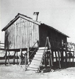 PIONIRA