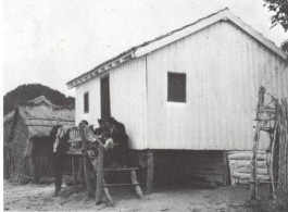 PIONIRA