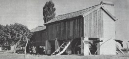 PIONIRA
