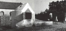 PIONIRA