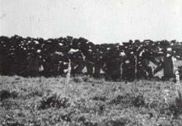 PIONIRA