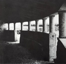PIONIRA