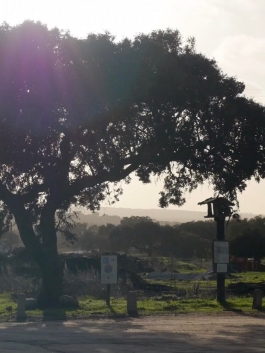 organic farming methods at Herdade do Freixo do Meio PIONIRA 
