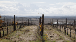biodiversity hotspot Herdade Esporao PIONIRA 