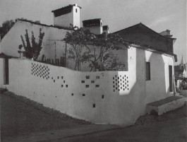 PIONIRA
