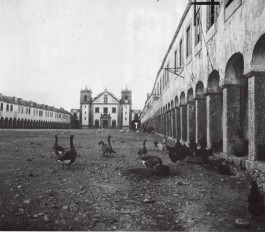 PIONIRA
