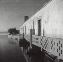 PIONIRA