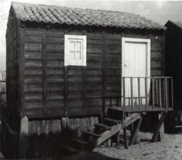PIONIRA