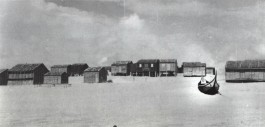 PIONIRA