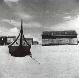 PIONIRA