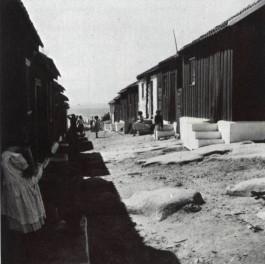 PIONIRA