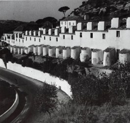 PIONIRA