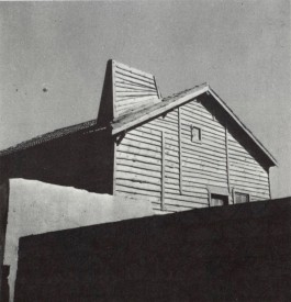 PIONIRA