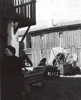 PIONIRA