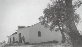 PIONIRA