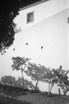 MonasteryArrabida_PIONIRA