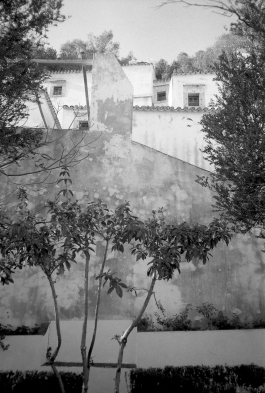 MonasteryArrabida_PIONIRA