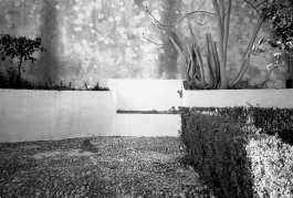 MonasteryArrabida_PIONIRA