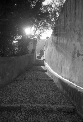 MonasteryArrabida_PIONIRA