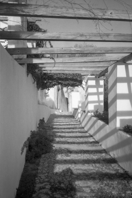 MonasteryArrabida_PIONIRA