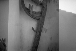 MonasteryArrabida_PIONIRA