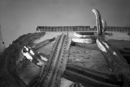 MonasteryArrabida_PIONIRA