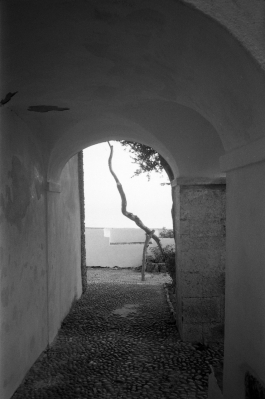 MonasteryArrabida_PIONIRA