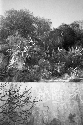 MonasteryArrabida_PIONIRA