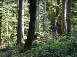 forest manager plochmann PIONIRA 