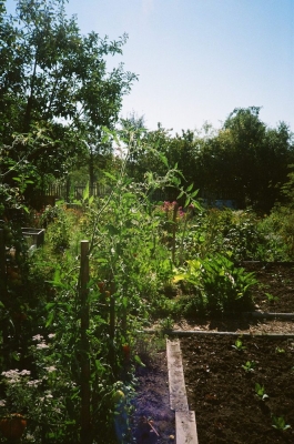 Garden Bamberg PIONIRA