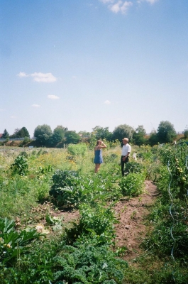 Gartenbau Bamberg PIONIRA