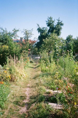Garden Bamberg PIONIRA