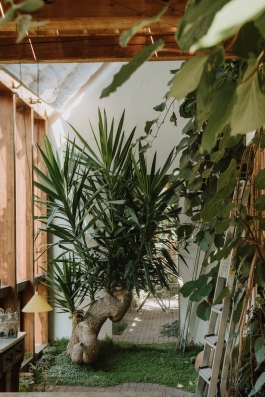 Ökosoziale Siedlung Bamberg PIONIRA