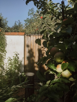 Ökosoziale Siedlung Bamberg PIONIRA