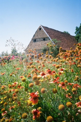 Schloss Bedheim gardens