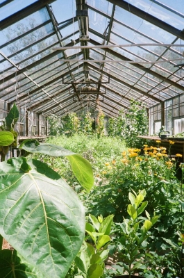 Schloss bedheim gardens