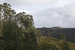 Casa do Penedo PIONIRA