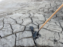 Urban Radical Brick for Venice