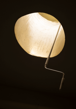 TIA house - Kofink Schels