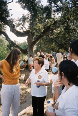 Ponto d'Orvalho and PIONIRA