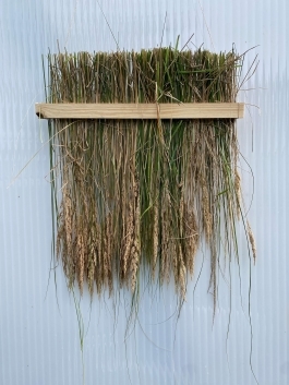 Susanne Brorson Architecture