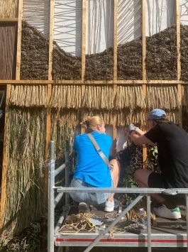 Susanne Brorson Architecture