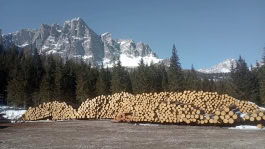 Delueg Architekten, Haus der Berge